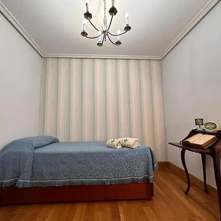 Aranzazu Vintage-apartamento Con Parking Gratuito San Sebastián