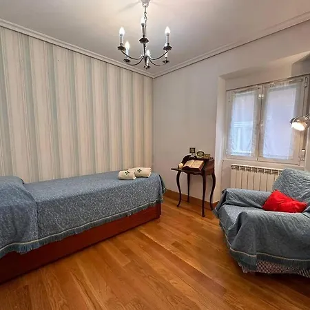 Aranzazu Vintage-apartamento Con Parking Gratuito Apartamento San Sebastián