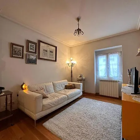 Aranzazu Vintage-apartamento Con Parking Gratuito San Sebastián