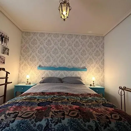 Aranzazu Vintage-apartamento Con Parking Gratuito * San Sebastián